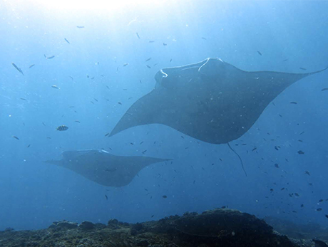 Nusa Penida